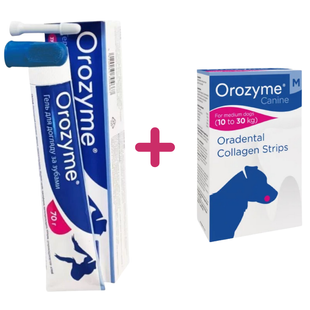 Набор для ухода за полостью рта Orozyme - гель для чистки зубов + жевательные полоски S 18205.1922 фото