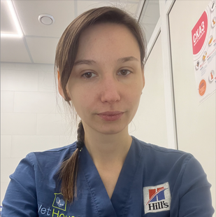Фелинолог  vet2 фото