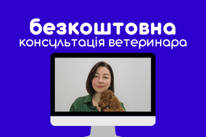 Получите бесплатную online-консультацию ветеринарного врача фото